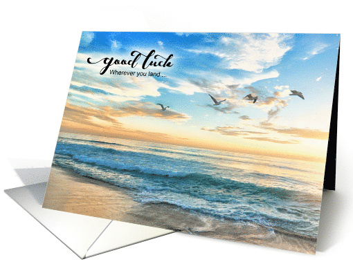 Good Luck on Your Journey Birds in Flight Sandy Beach card (592270)