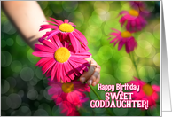 Goddaughter’s Birthday Girl with Pink Daisies card