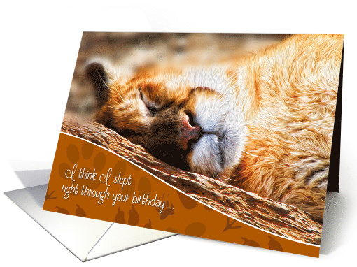 Belated Birthday Funny Cougar Painting card (618009)