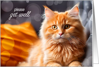 Get Well Soon Orange Tabby Cat for Cat Lovers card