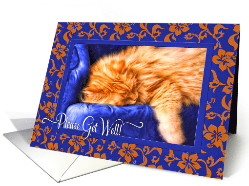 Sweet Get Well Orange Tabby Cat for a Sick Cat card (652806)