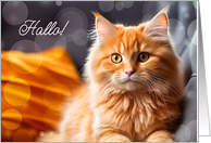 Hallo! German Language Orange Tabby Cat card