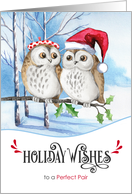 for Gay and Lesbian Couples Holiday Wishes Woodland Owls card