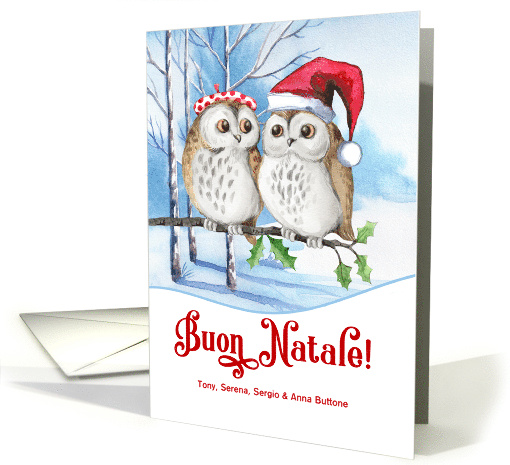 Italian Christmas Buon Natale Woodland Owls Custom card (655932)