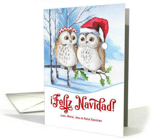 Spanish Red Christmas Feliz Navidad Winter Owls Custom card (655942)