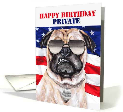 Military Private Soldier's Birthday with Funny Pug Dog card (657753)