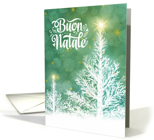 Italian Christmas Buon Natale White Pines with Holiday Stars card