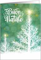 Italian Christmas Buon Natale White Pines with Holiday Stars card