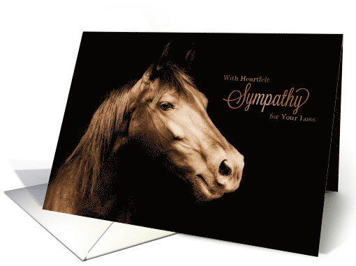 Pet Sympathy Loss of a Horse Sepia Toned Photograph card (763819)