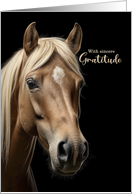 Thank You Western Horse Portrait Blank Inside card