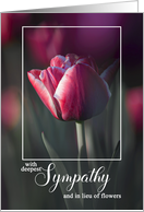 In Lieu of Flowers Sympathy Memorial Donation Tulip card
