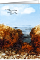 Coastal Painting of California with Seagull Blank Any Occasion card