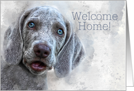 Welcome Home Watercolor Weimaraner Puppy card
