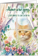 How Are You Encouragement Cat in Window Botanical Garden card