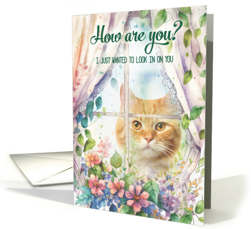 Get Well for Cat Lover with Kitty in a Garden Window card (789423)