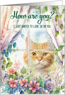 Get Well for Cat Lover with Kitty in a Garden Window card