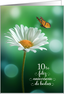 10th Spanish Anniversario Wedding Anniversary White Daisy card