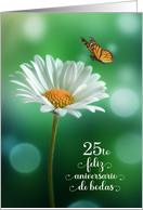 25th Spanish Anniversario Wedding Anniversary White Daisy card