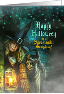 for Grandson Halloween Witch and Black Cat Spooky Night card