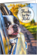 Thanks for the Ride Cute Dog in a Car Window card
