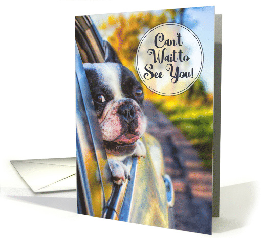 Can't Wait to See You Dog in a Car Window card (838752)