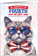 Happy 4th of July Patriotic Cat card