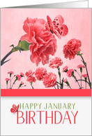 January Birthday Pink Carnations with Butterflies card