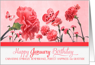 January Birthday Pink Carnations with Butterflies card