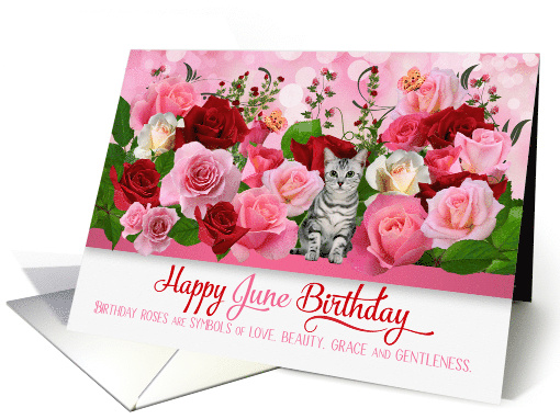June Birthday Rose Garden with Butterflies and Tabby Cat card (936392)