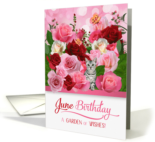June Birthday Rose Garden with Butterflies and Tabby Cat card (936409)