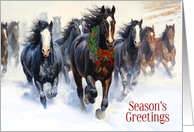 Western Themed Christmas Wild Horses in the Snow card