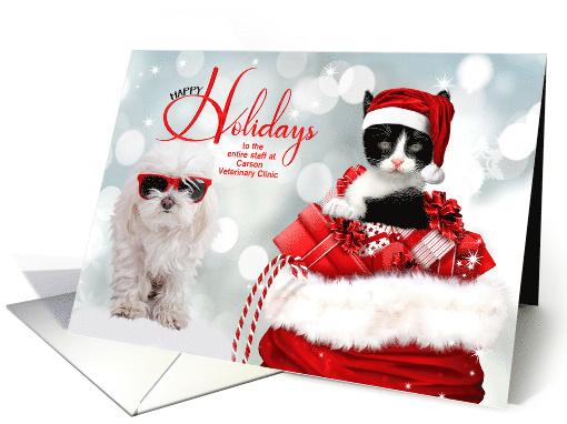 for Veterinarian Custom Holiday with Kitten and Dog card (955875)