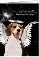 Custom Pet Sympathy Loss of a Dog Beagle Angel card