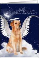 Golden Retriever Angel Dog Christmas card