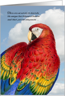 Loss of a Bird Pet Sympathy Rainbow Macaw Parrot card