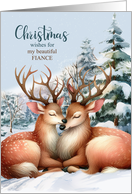 for Fiance at Christmas Kissing Reindeer in the Snow card