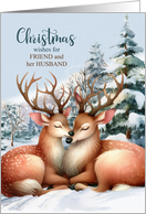 for Friend and Her Husband at Christmas Kissing Reindeer card