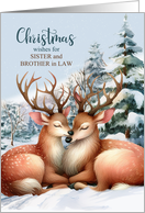 for Sister and Brother in Law on Christmas Kissing Reindeer card