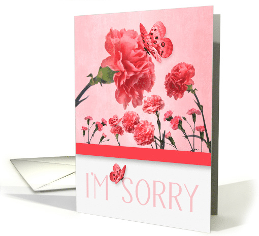 I'm Sorry Pink Carnations with Butterflies card (977829)