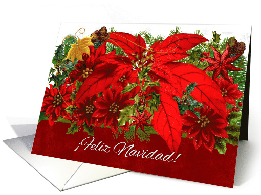 Spanish Language Christmas Poinsettias Feliz Navidad! card (980597)