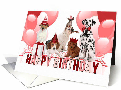 from All of Us Funny Birthday Pack Dogs in Red and Pink card (982121)