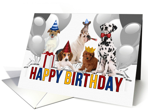from All of Us Pack of Dogs in Birthday Hats Red Blue and Yellow card
