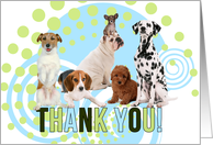 Thank You Pack of Cute Dogs with Blue and Green Geometric Blank card