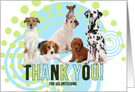 Volunteer Thank You Cute Pack of Dogs with Modern Green and Blue card