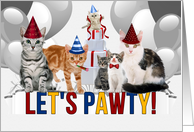 Funny Cats Birthday Party Invitation in Red Blue and Yellow card