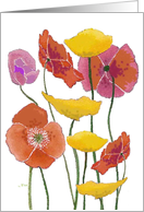 Fields of Poppies Blank card