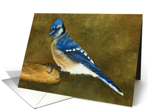 Blue Jay Perched on a Bird Feeder Blank card (930018)