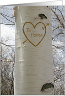 French Romantic Love, I Love You Birch Tree card