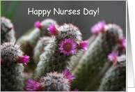 Happy Nurses Day! Flowering Cactus card