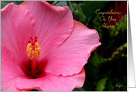 Adoption, Congratulations! Pink Hibiscus card